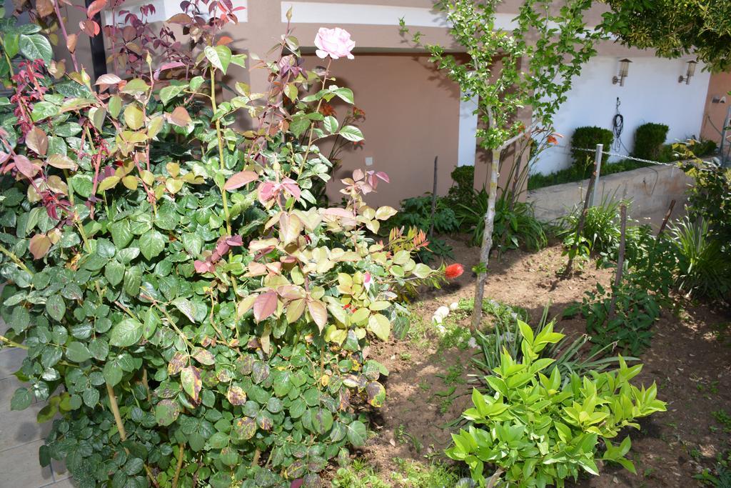 Guest House Evropa 2 Ulcinj Ngoại thất bức ảnh
